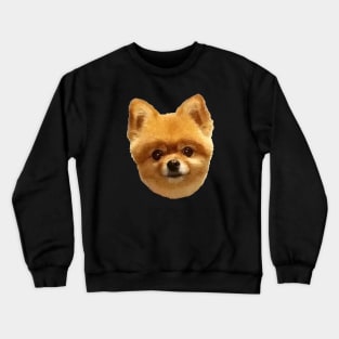 Pomeranian 2 - black background Crewneck Sweatshirt